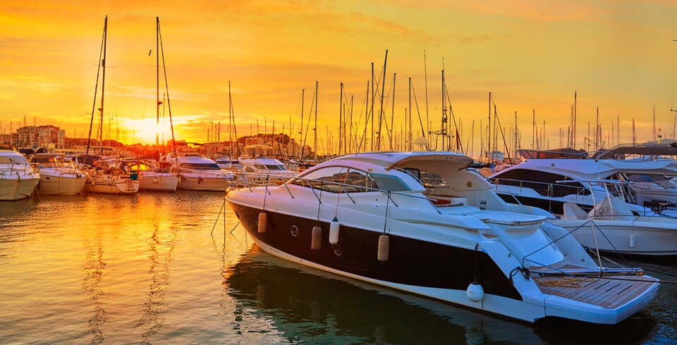 Anna Maria - Image 7