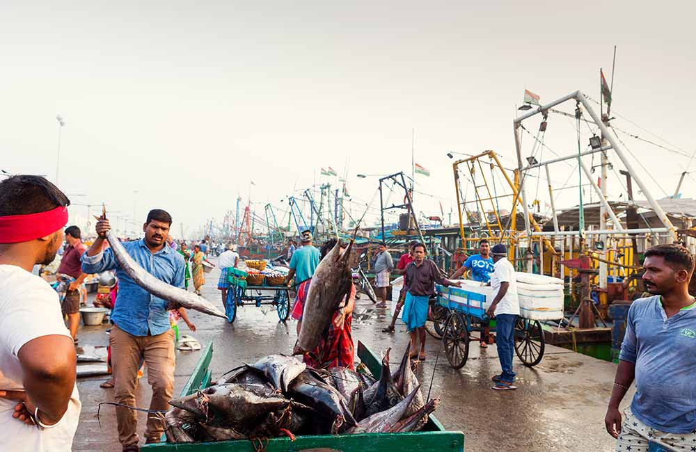 Royapuram Fishing Harbour | #13 of 15 Best Places to Visit in Chennai Royapuram Fishing Harbour, Chennai