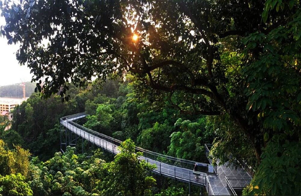 Places to Visit in Delhi