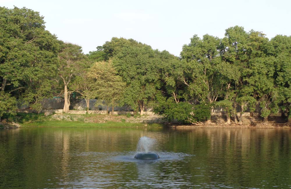 Parks and Wildlife Areas | Places to Visit in Bangalore Parks and Wildlife Areas | Bangalore