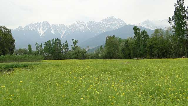 Baisaran, Kashmir: A Paradise on Earth