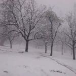 Top 5 Places to Visit in Kupwara