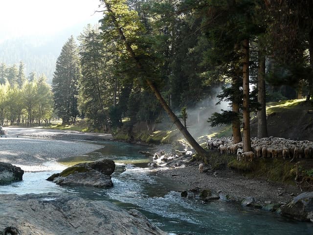 Top 7 Places to Visit in Pahalgam