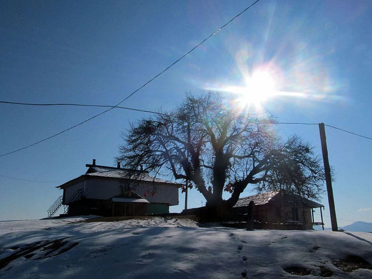 Bijli Mahadev Temple, Kullu: A Sacred Abode of Divinity