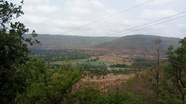Top 5 National Parks in Maharashtra 67 Top 5 National Parks in Maharashtra