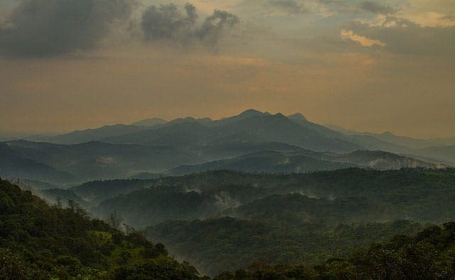 The Best Time to Visit Coorg