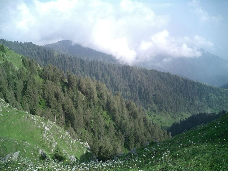 Dainkund Peak, Dalhousie