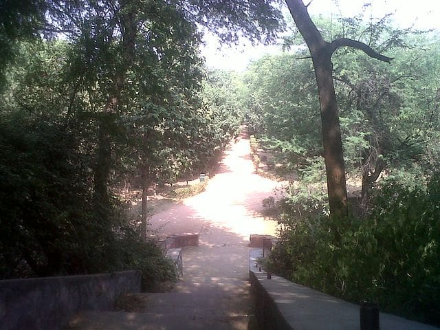 Discovering Tranquility: Top 5 Beautiful Garden Parks in Delhi