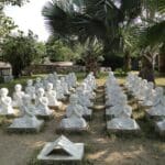 Discovering Tranquility: Top 5 Beautiful Garden Parks in Delhi