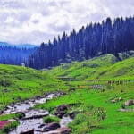 The Best Time to Visit Gulmarg