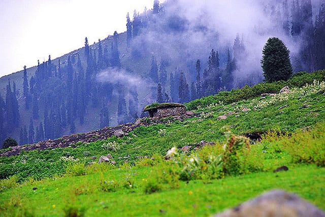 Places to Visit in Baramullah