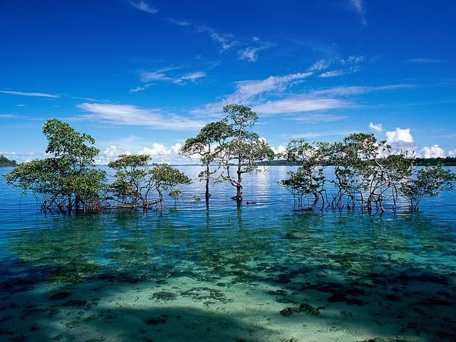 Top 10 Snorkeling Destinations in India