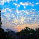 15 Revitalizing Hill Stations Near Bangalore