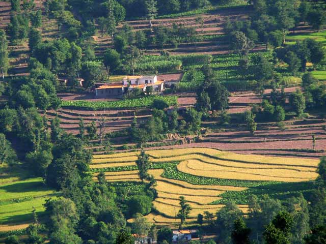 A Complete Tour Guide To Visit Kasauli Hill Station