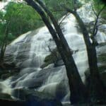 Kiliyur Falls, Yercaud