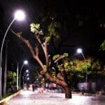 Marine Drive, Kochi: Unraveling the Coastal Charm