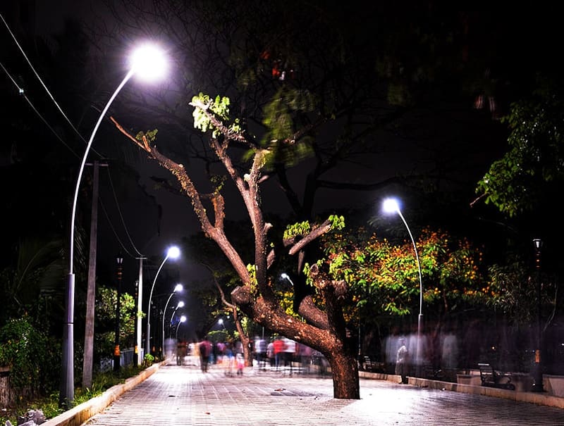 Marine Drive, Kochi: Unraveling the Coastal Charm