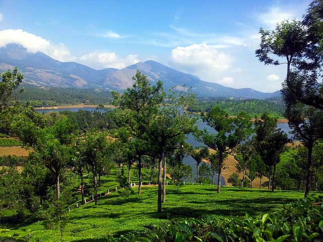 A Complete Tour Guide To Munnar Hill Station