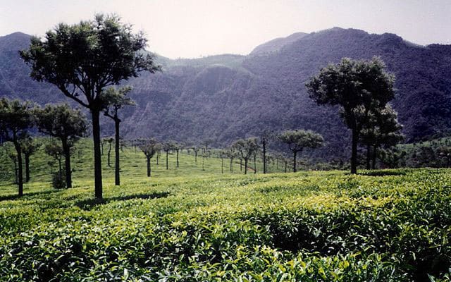Top 5 Hill Stations In Tamil Nadu