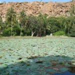 Pampa Sarovar: Exploring the Sacred Oasis of Hampi