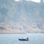 Complete Guide to Pong Dam Bird Sanctuary, Himachal Pradesh