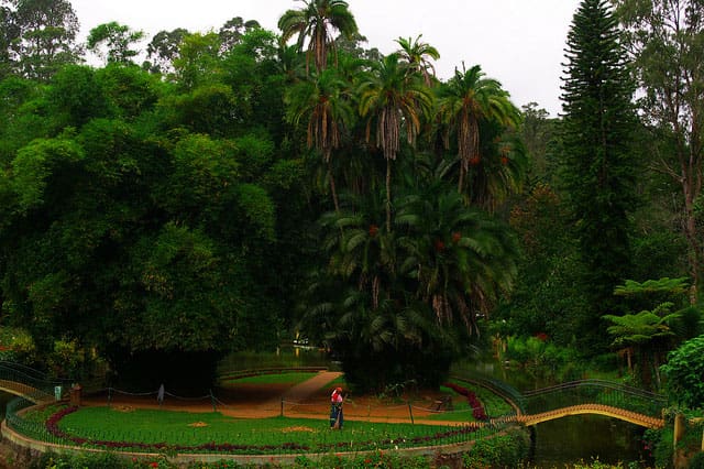 Top 10 Places To Visit In Coonoor