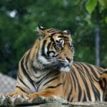 Complete Guide to Papikonda National Park, Andhra Pradesh