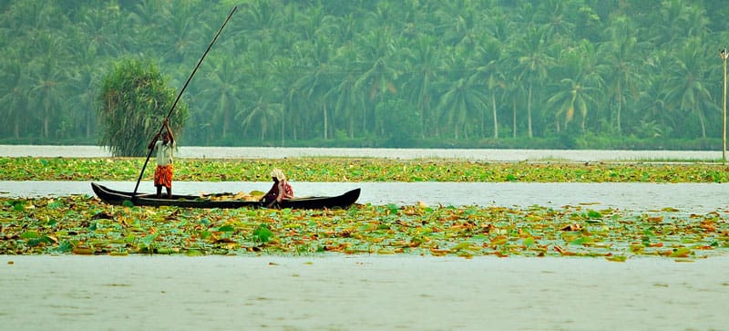 Vellayani Lake, Kovalam: A Hidden Gem in Kerala's Natural Beauty
