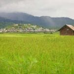 Top 12 Places To Visit In Ziro Valley